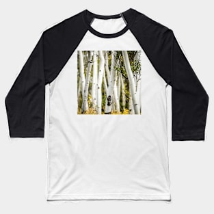 Beautiful pictures - Apen Trees Baseball T-Shirt